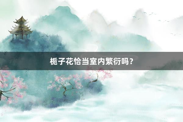 栀子花恰当室内繁衍吗？